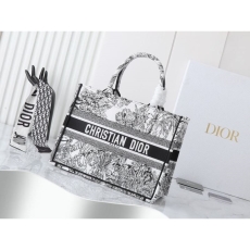 Christian Dior Shopping Bags